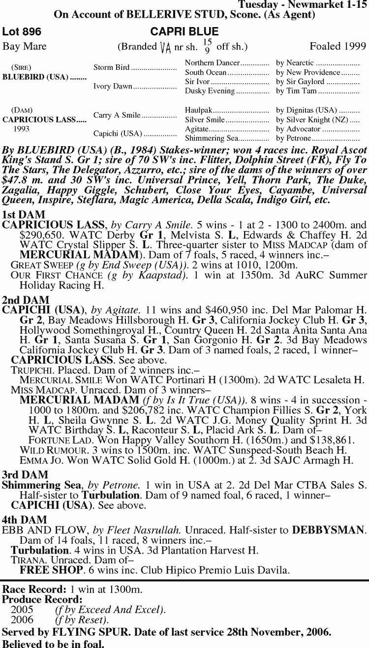 Capri Blue Thoroughbred Horse Profile Next Race, Form, Stats, News