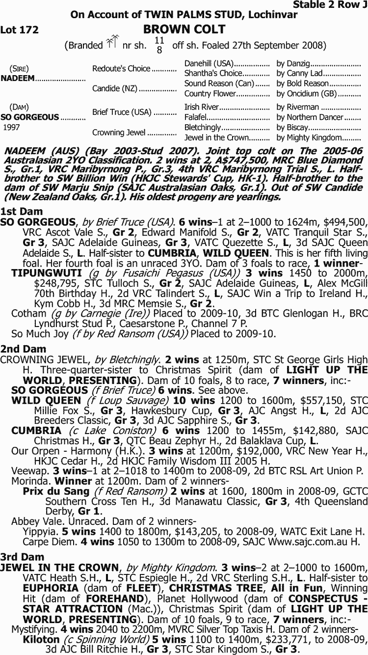 Sterling City Thoroughbred Horse Profile Next Race, Form, Stats, News