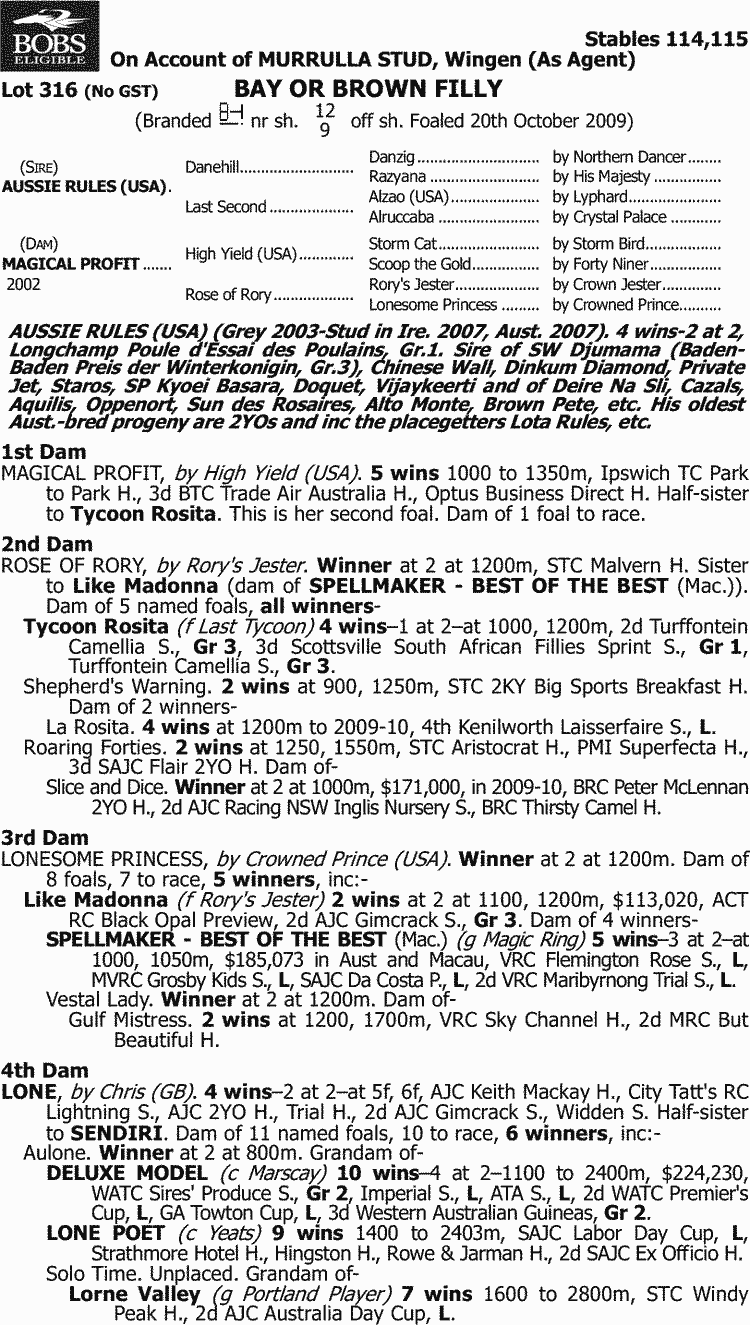 Lucky Punt Thoroughbred Horse Profile - Next Race, Form, Stats, News ...