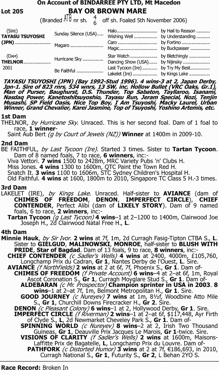 Black Cabbage Thoroughbred Horse Profile Next Race, Form, Stats, News