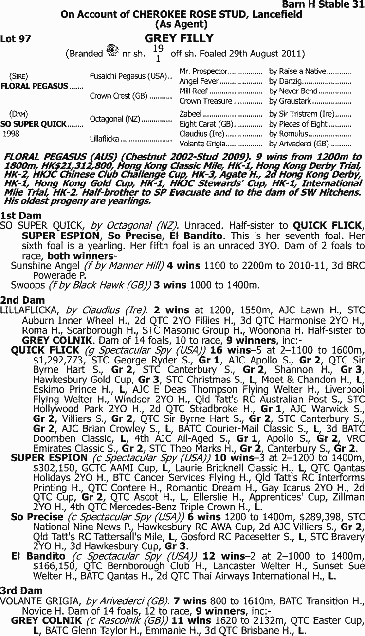 Raise An Angel Thoroughbred Horse Profile - Next Race, Form, Stats ...