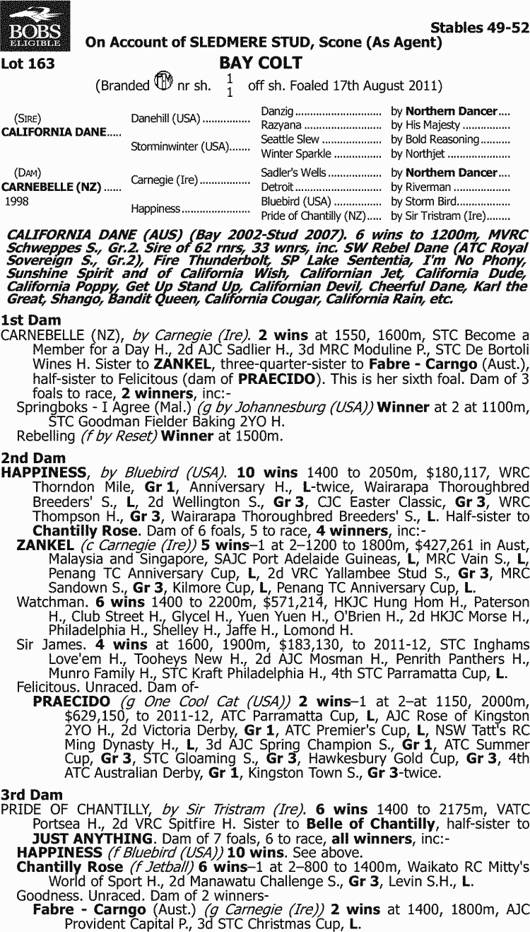 Iron Boy Thoroughbred Horse Profile Next Race, Form, Stats, News