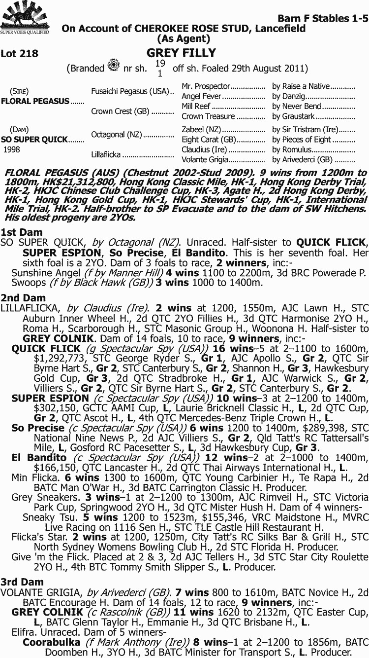 Raise An Angel Thoroughbred Horse Profile - Next Race, Form, Stats ...