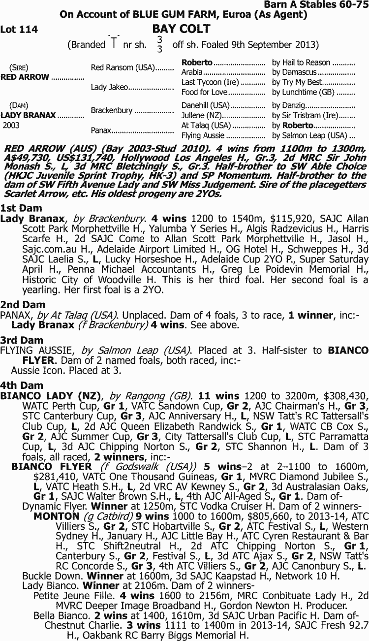 Little Red Rooster Thoroughbred Horse Profile Next Race, Form, Stats, News, Breeding Racing