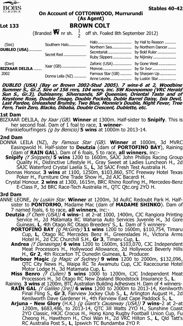 Tommy Two Toes Thoroughbred Horse Profile - Next Race, Form, Stats ...