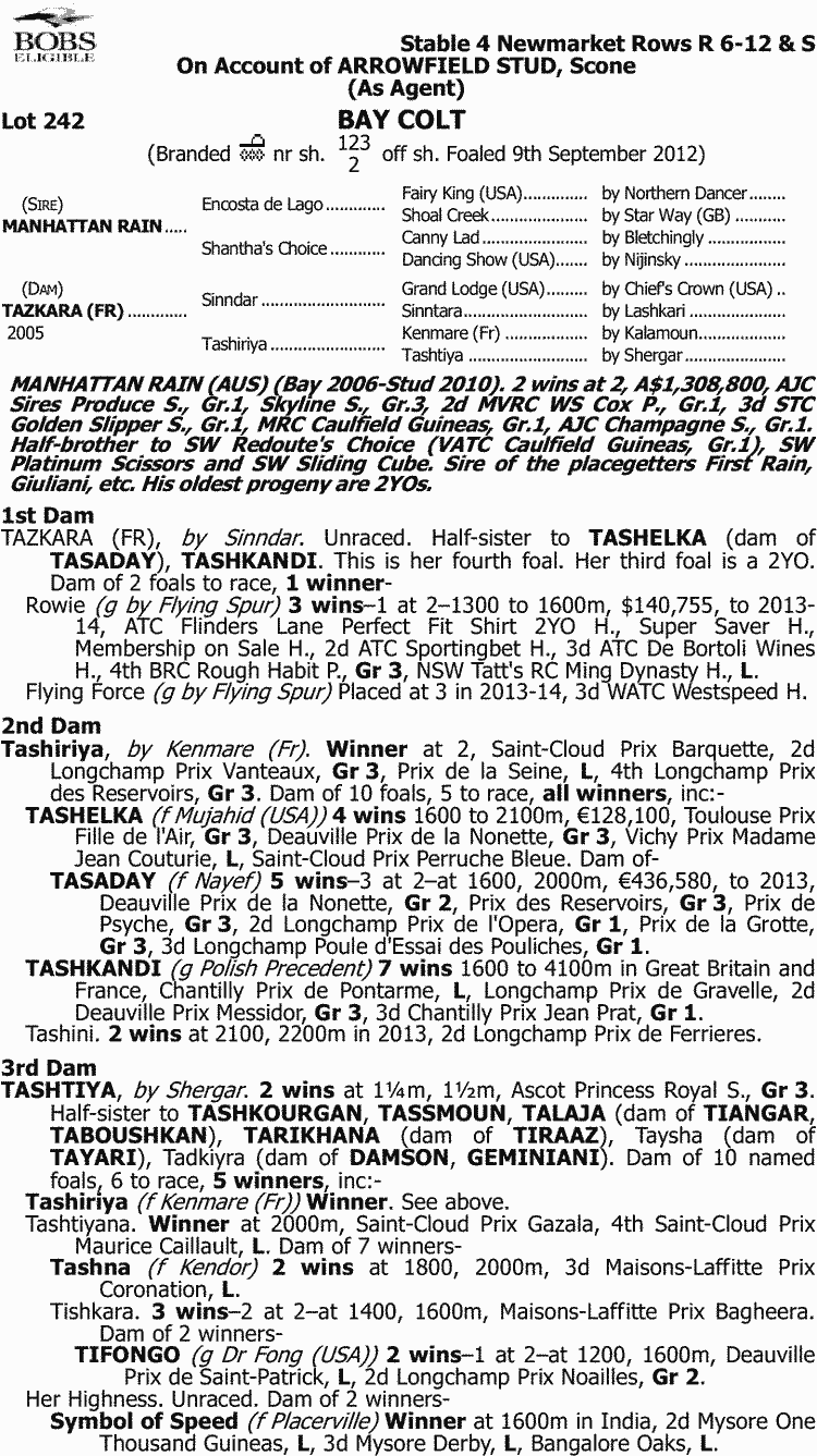 Whisky Baron Thoroughbred Horse Profile Next Race, Form, Stats, News