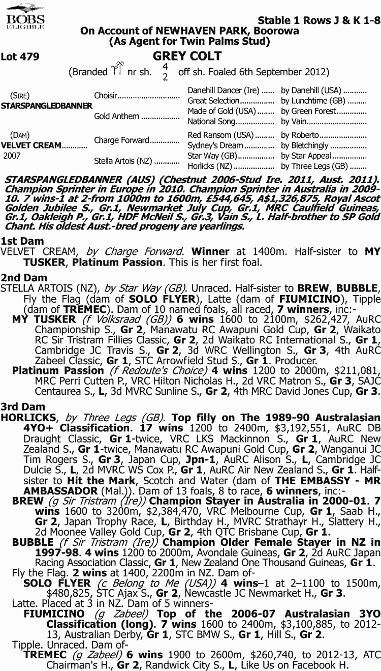 Pale Ale Thoroughbred Horse Profile Next Race, Form, Stats, News