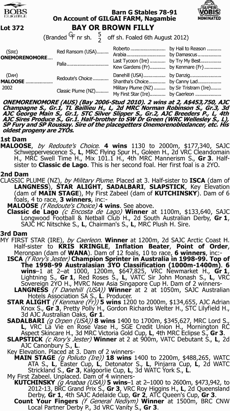 Alittle Loose Thoroughbred Horse Profile Next Race, Form, Stats, News