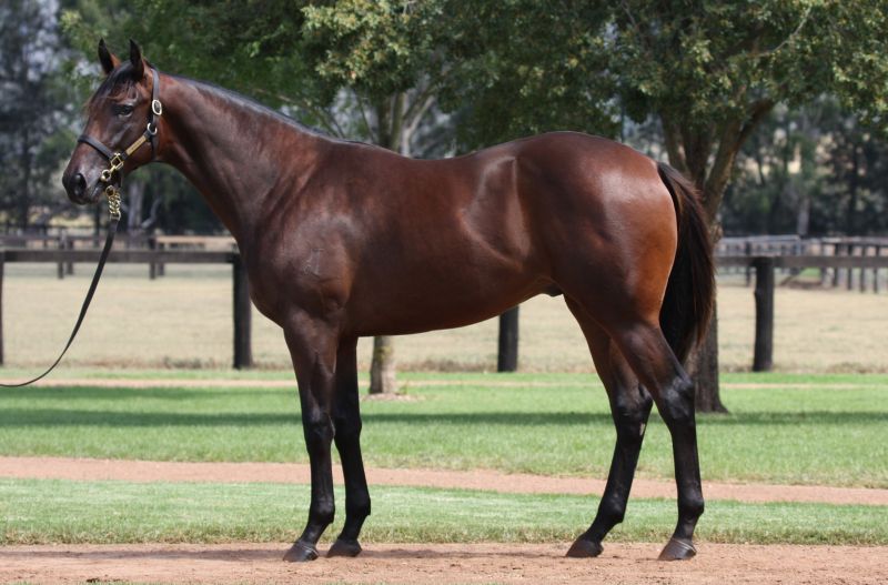 Critical thinker picture