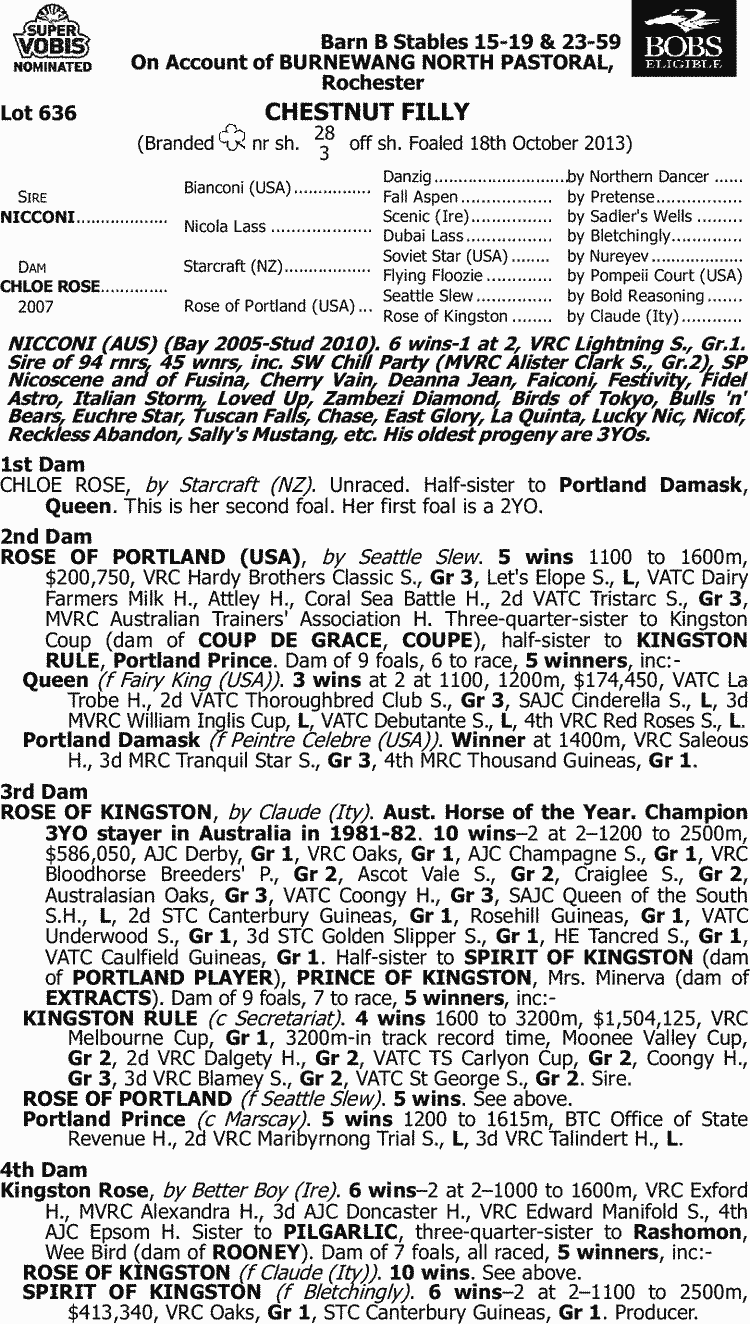 Queen Of Kingston Thoroughbred Horse Profile Next Race, Form, Stats