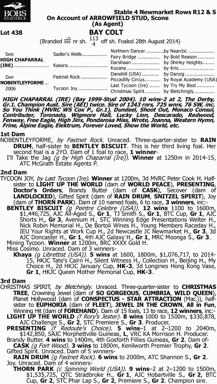 Lofty Heights Thoroughbred Horse Profile - Next Race, Form, Stats, News ...
