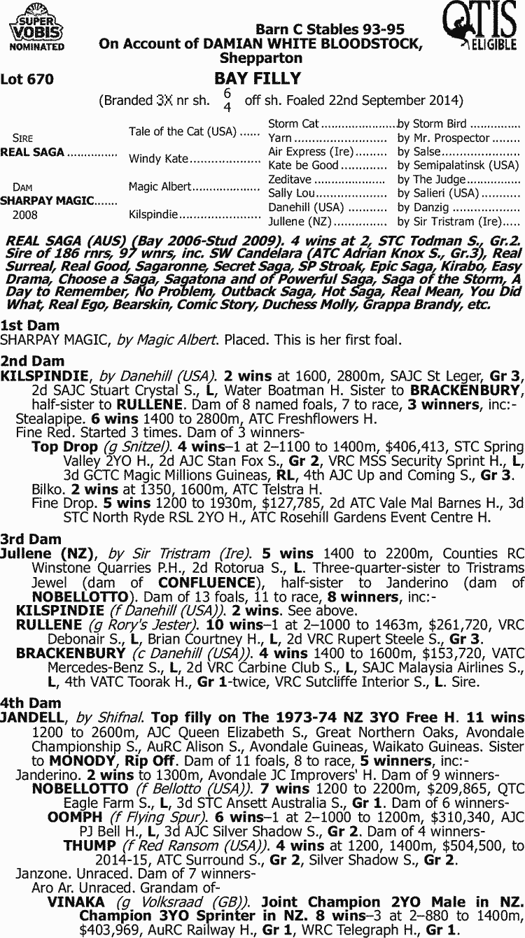 Such A Drama Queen Thoroughbred Horse Profile - Next Race, Form, Stats ...