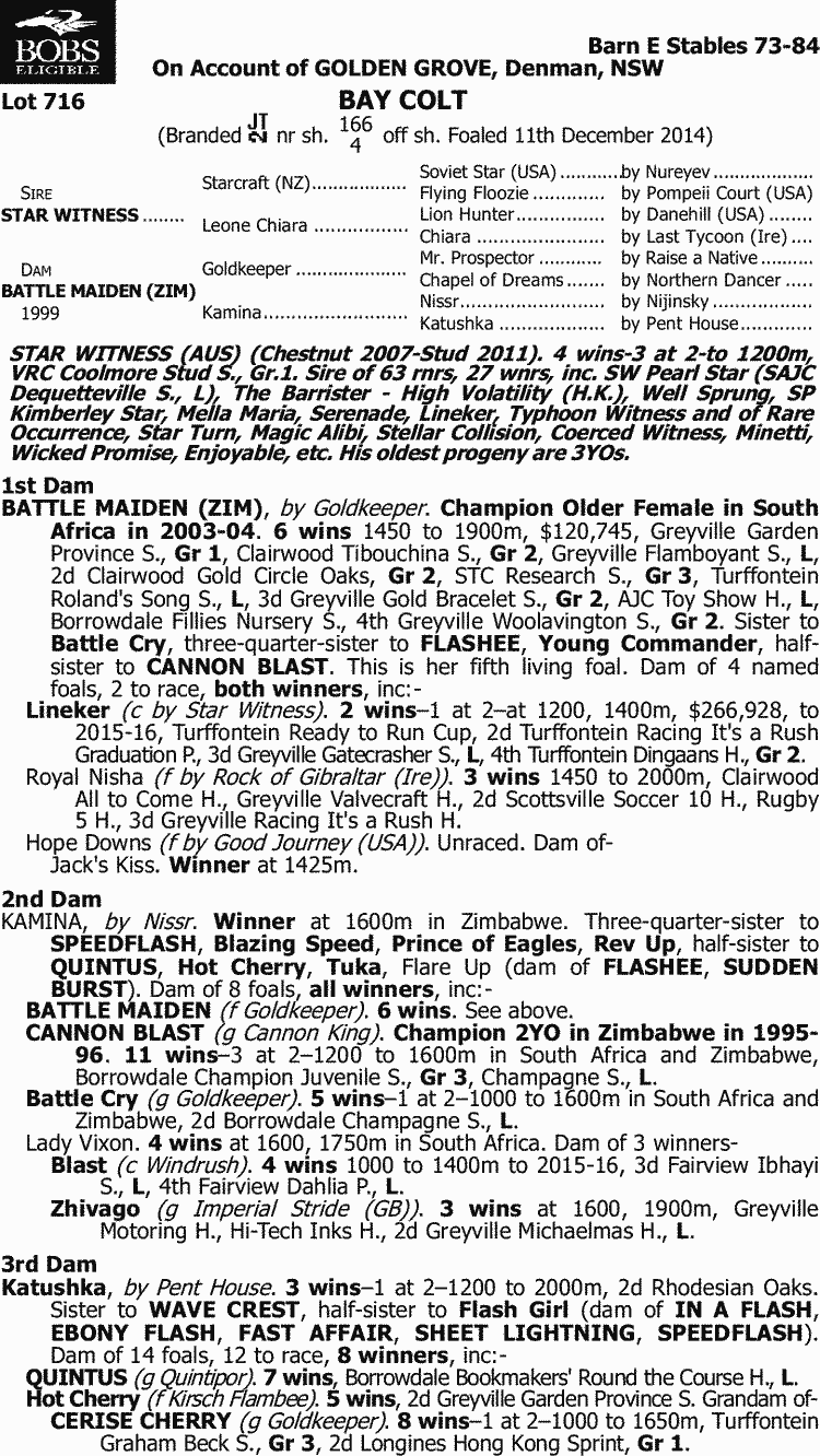 Mister Ward Thoroughbred Horse Profile - Next Race, Form, Stats, News