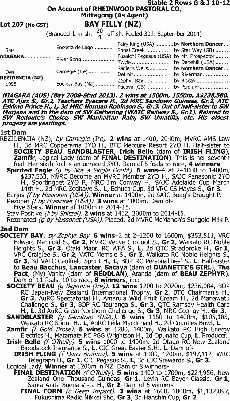 Lady Kaikilani Thoroughbred Horse Profile - Next Race, Form, Stats ...