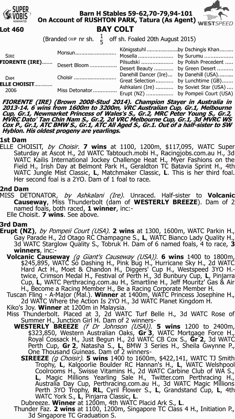 Francoli Thoroughbred Horse Profile - Next Race Form Stats News 