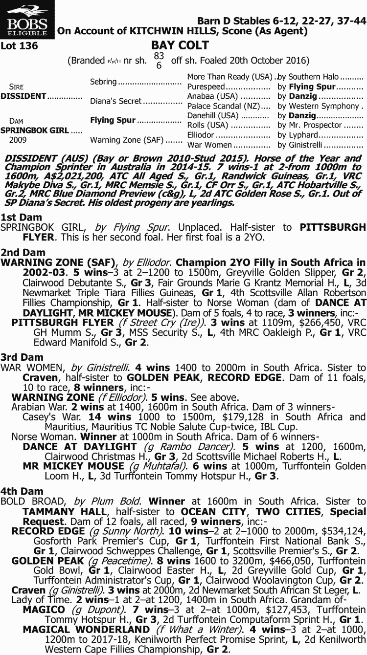 Ellis Park Thoroughbred Horse Profile Next Race, Form, Stats, News