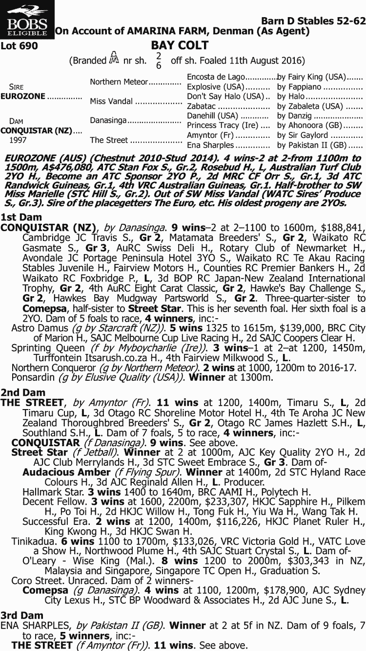 Conquered Zone Thoroughbred Horse Profile Next Race, Form, Stats