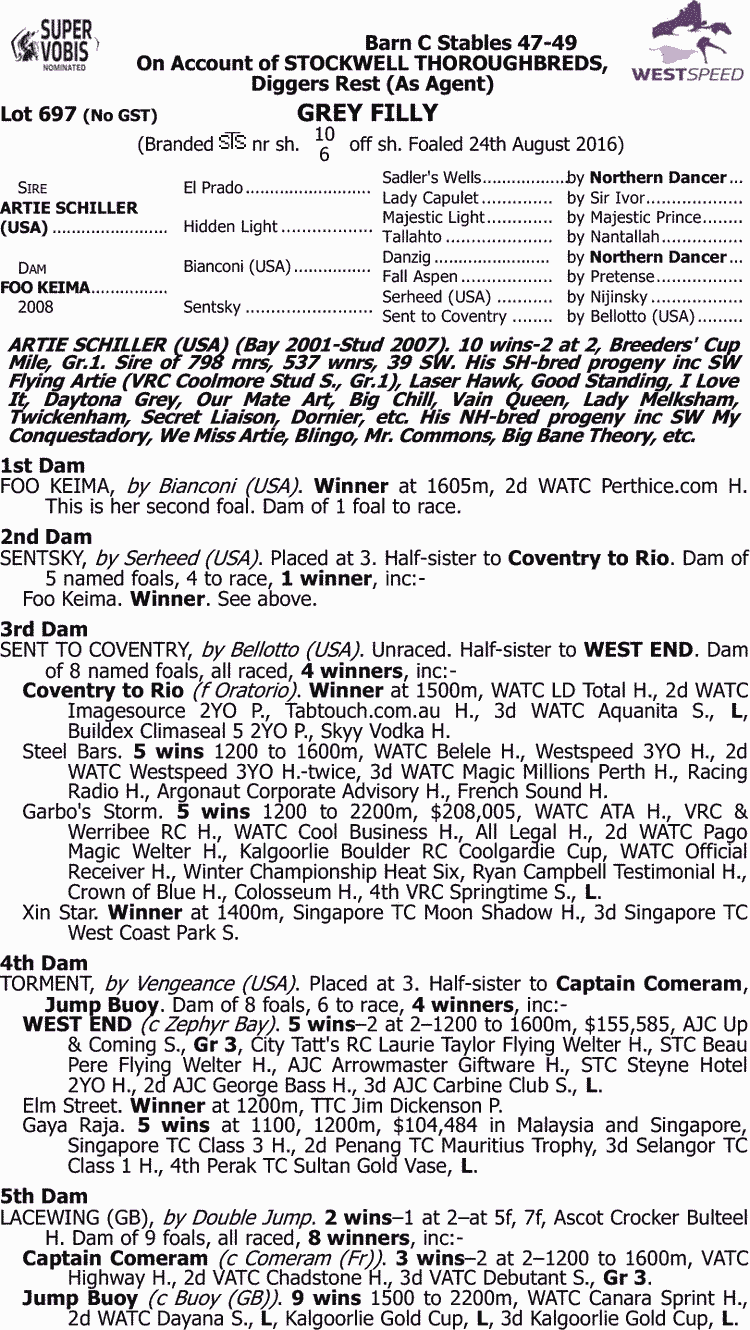 La Vina Thoroughbred Horse Profile Next Race, Form, Stats, News