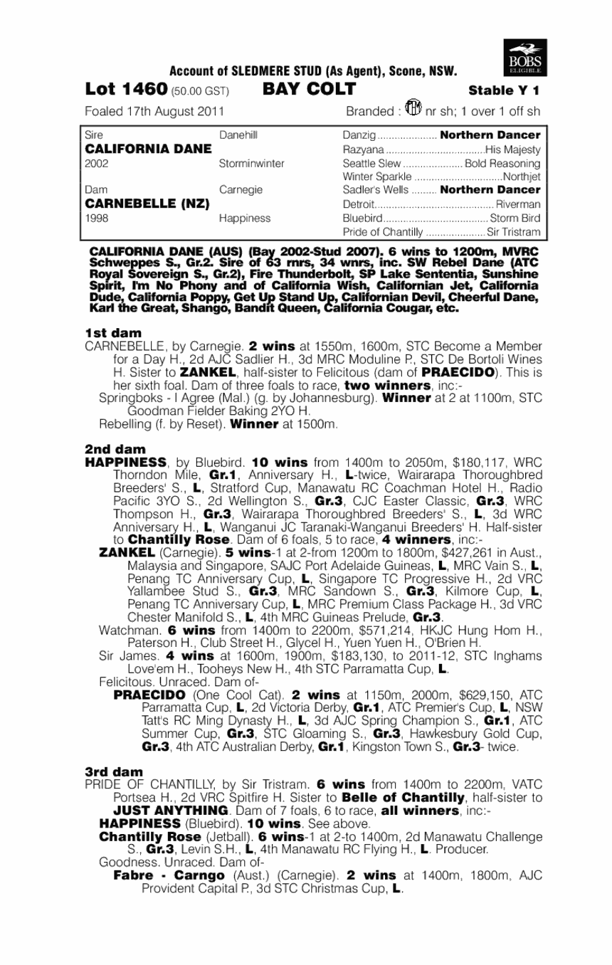 Iron Boy Thoroughbred Horse Profile Next Race, Form, Stats, News