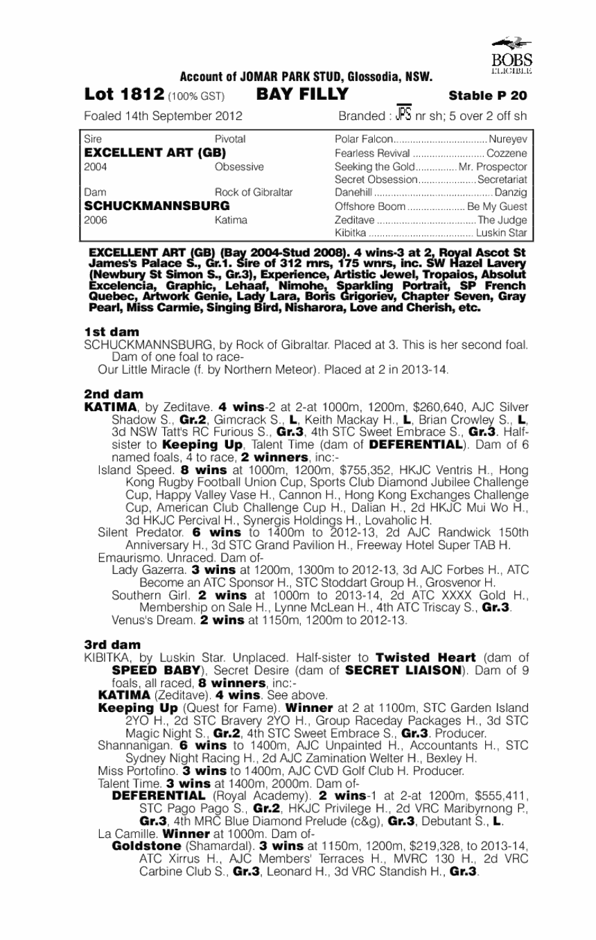 Essayez racehorse 08 image