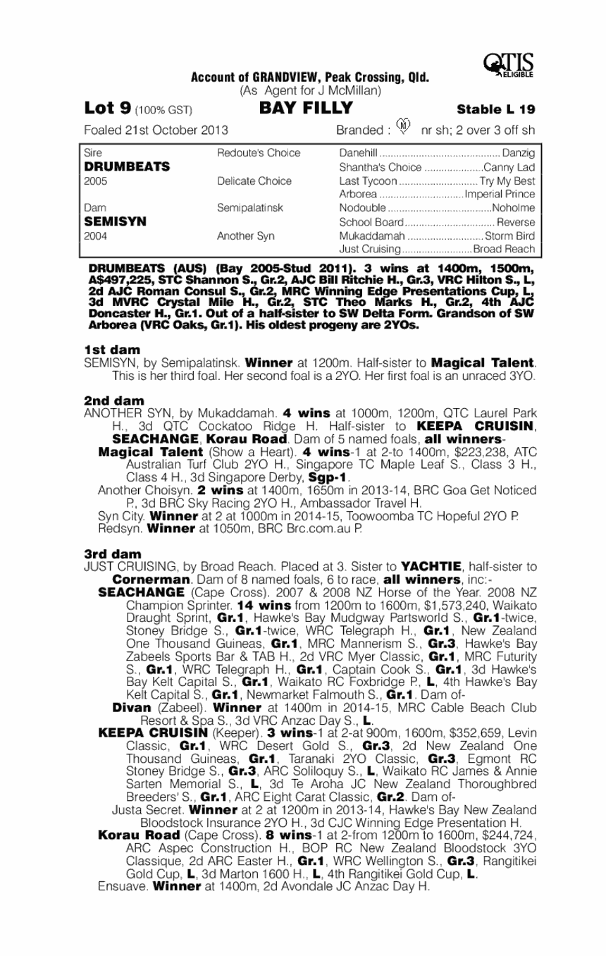 Ashiko Thoroughbred Horse Profile Next Race, Form, Stats, News