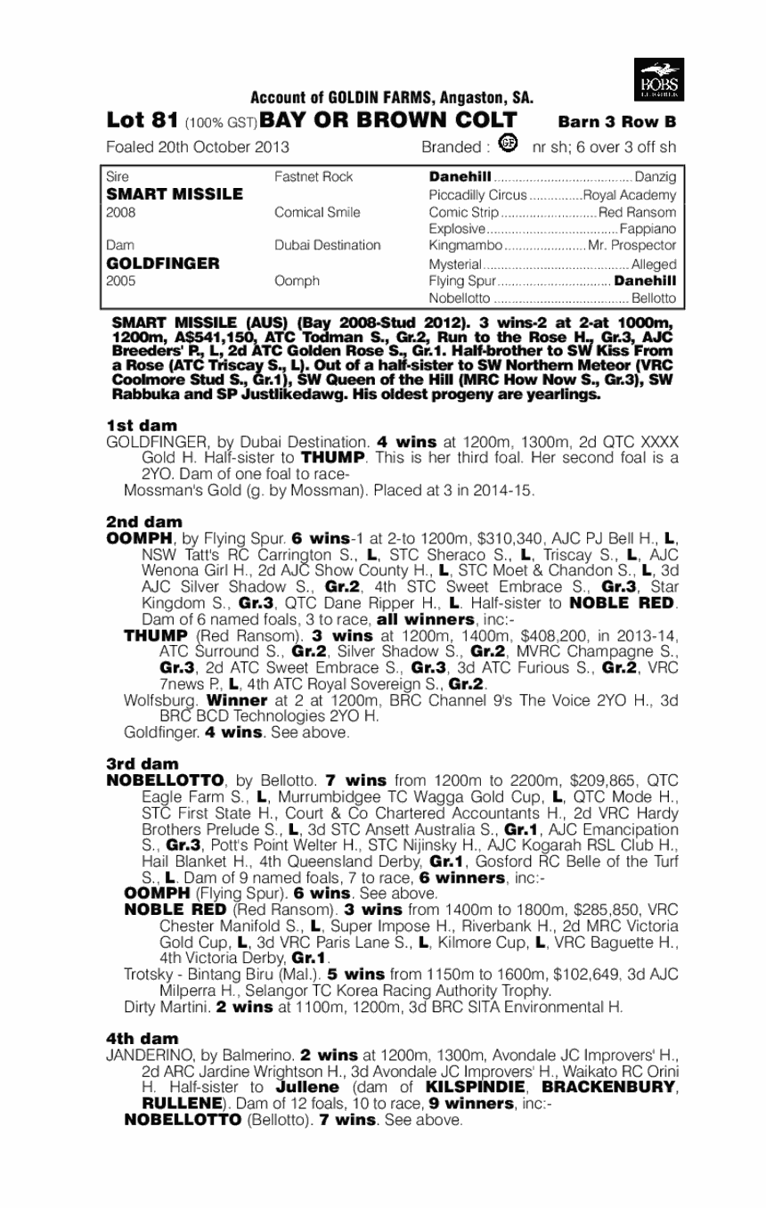 Comfort Life Thoroughbred Horse Profile Next Race, Form, Stats, News