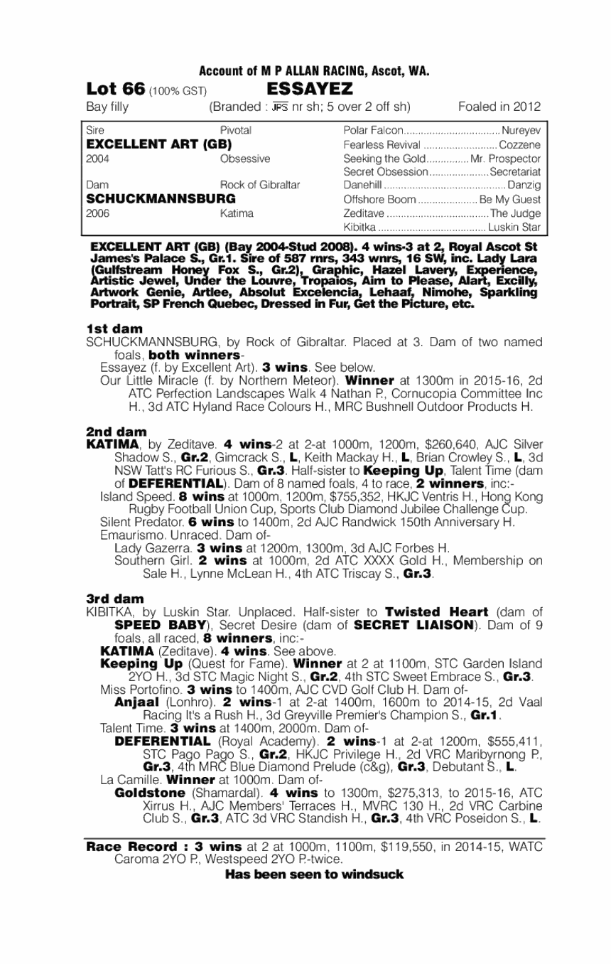 Essayez racehorse picture