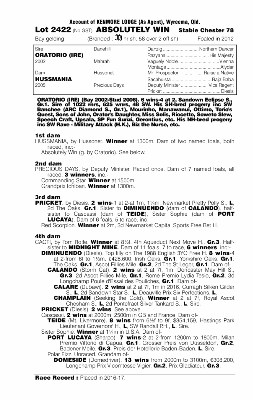 Absolutely Win Thoroughbred Horse Profile Next Race, Form, Stats