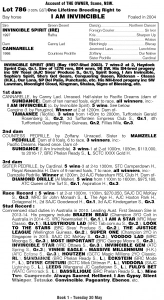 I Am Invincible at 2017 Gold Coast National Broodmare Sale