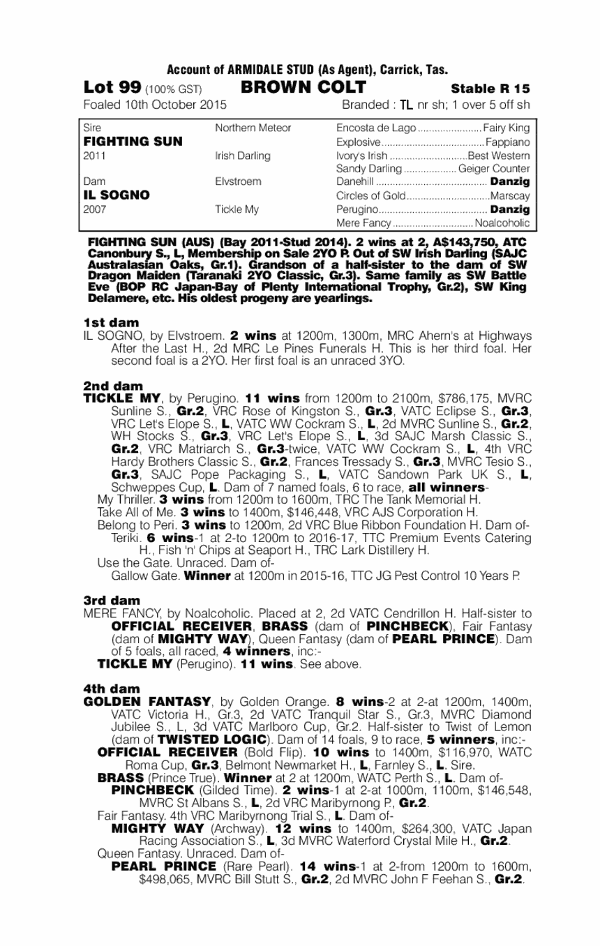 No New Tricks Thoroughbred Horse Profile - Next Race, Form, Stats, News ...