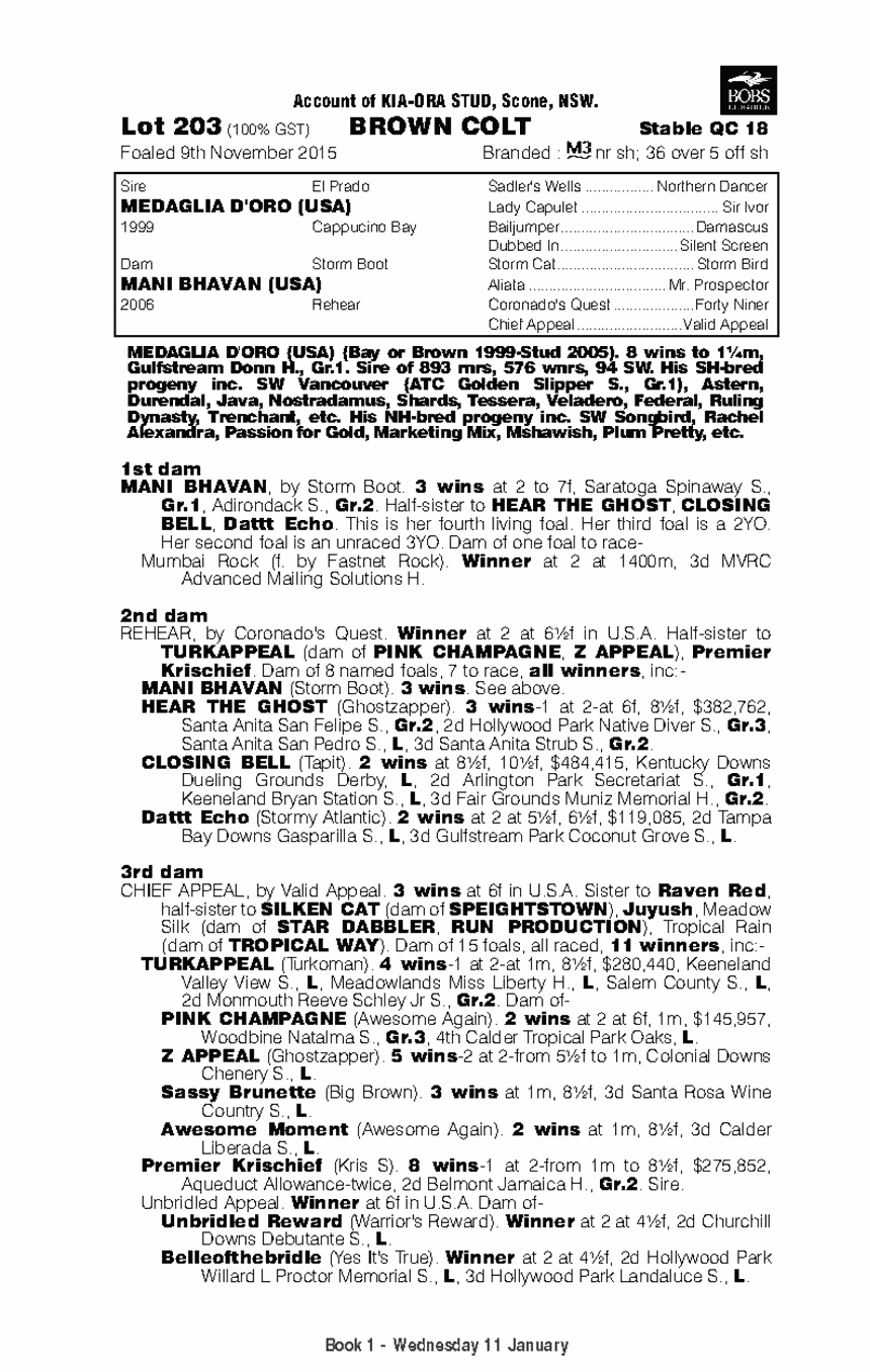 Golden Boy Thoroughbred Horse Profile - Next Race, Form, Stats, News ...