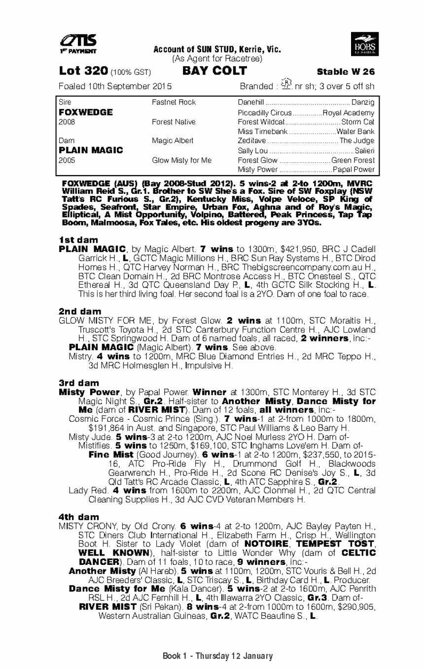 Magic Fox Thoroughbred Horse Profile Next Race, Form, Stats, News