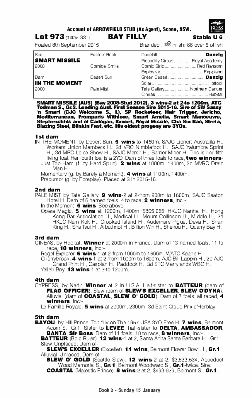Clockwise Thoroughbred Horse Profile Next Race, Form, Stats, News