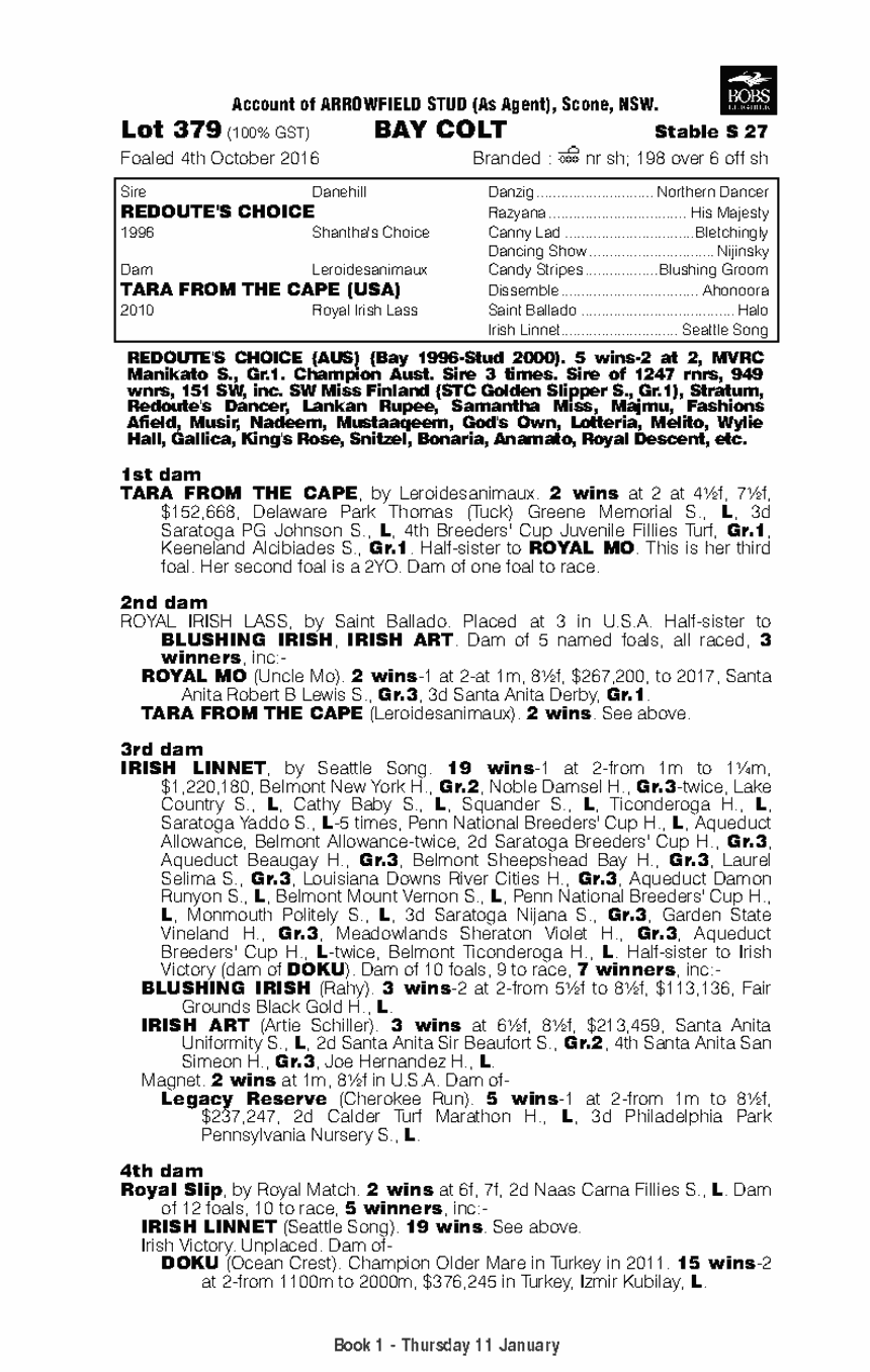 Chapman's Peak Thoroughbred Horse Profile Next Race, Form, Stats