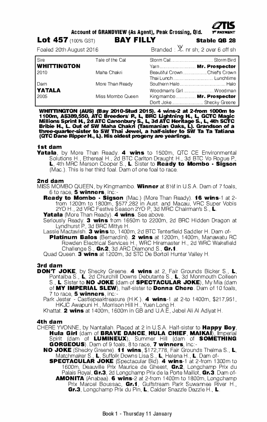 Whitty Girl Thoroughbred Horse Profile - Next Race, Form, Stats, News ...