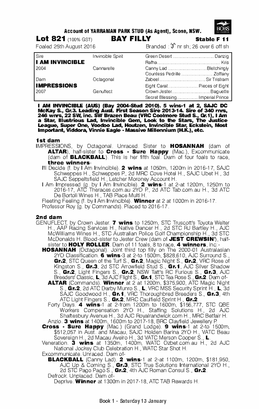 Sweeping Statement Thoroughbred Horse Profile Next Race, Form, Stats