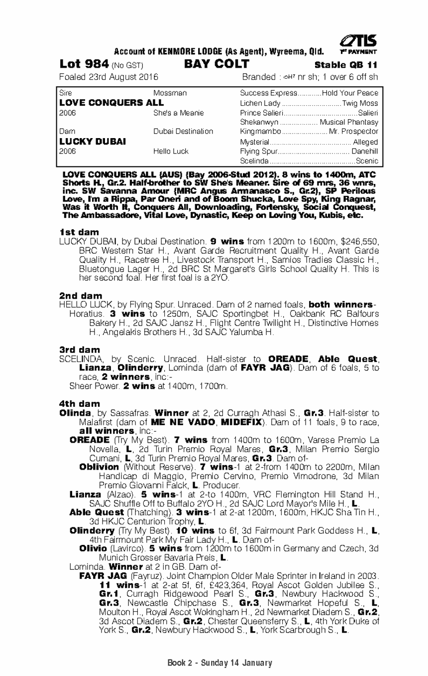 Wapiti Thoroughbred Horse Profile Next Race, Form, Stats, News